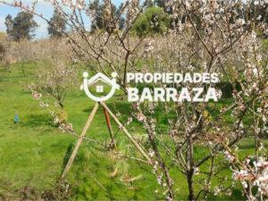 Terreno en Calle Miraflores, Chimbarongo